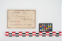 Etikett zu Eisenbeschlag (NHMW-PRAE-025826)